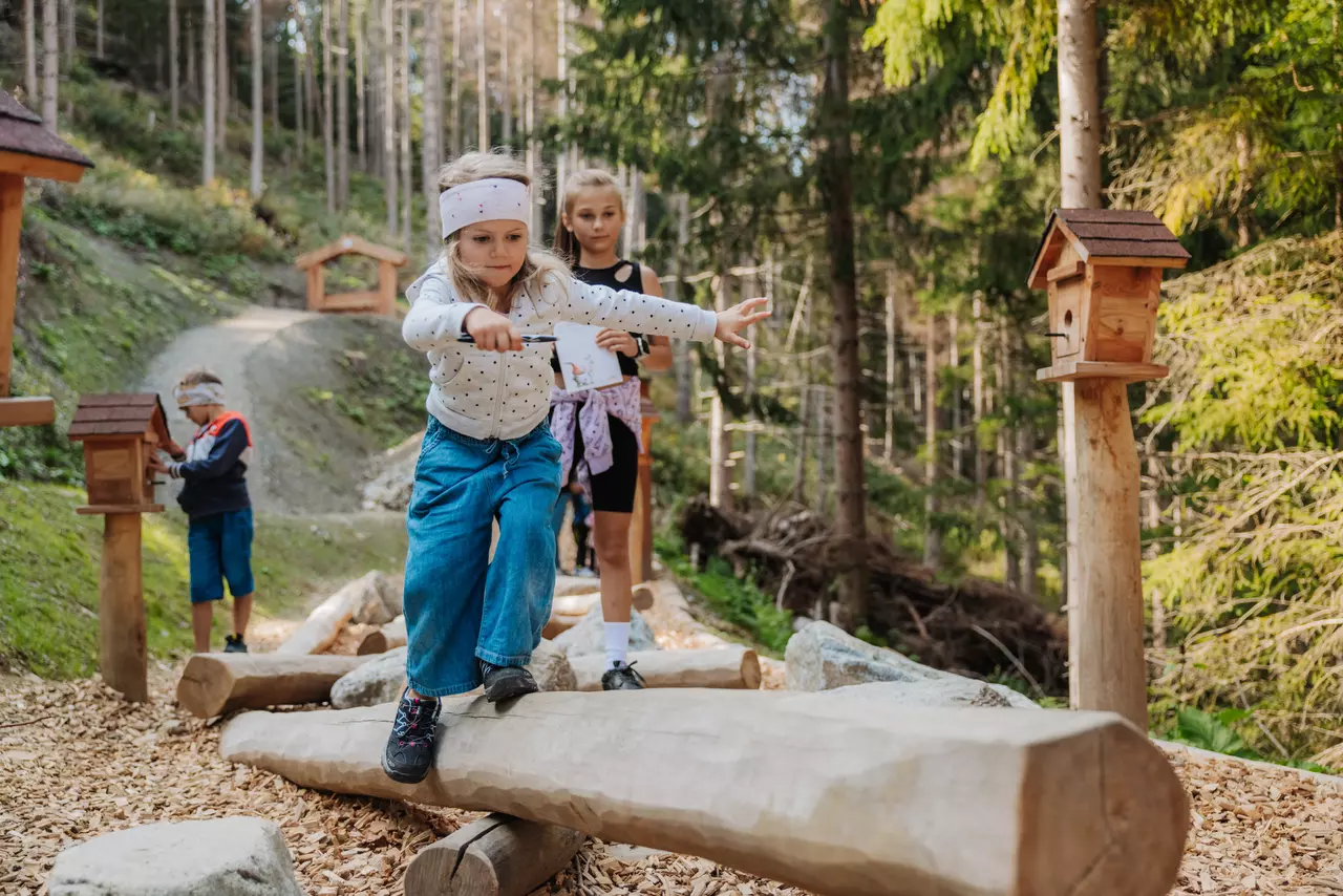 Waldwichtelweg im Wichtelpark Sillian © TVB Osttirol / Elias Bachmann