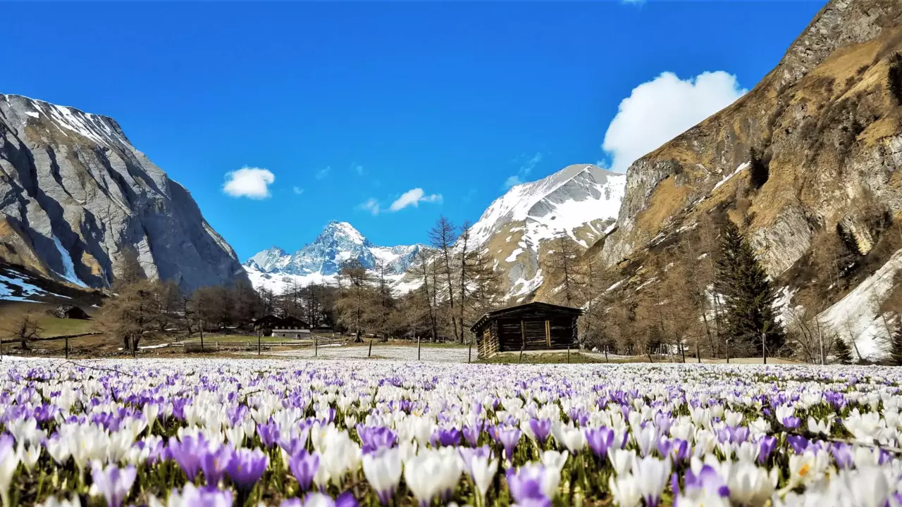 Lucknerhaus Blick Großglockner © TVB Osttirol / Ingemar Wibmer