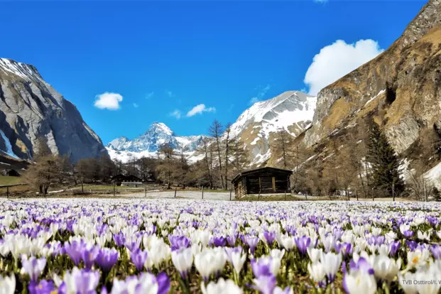 Lucknerhaus Blick Großglockner © TVB Osttirol / Ingemar Wibmer