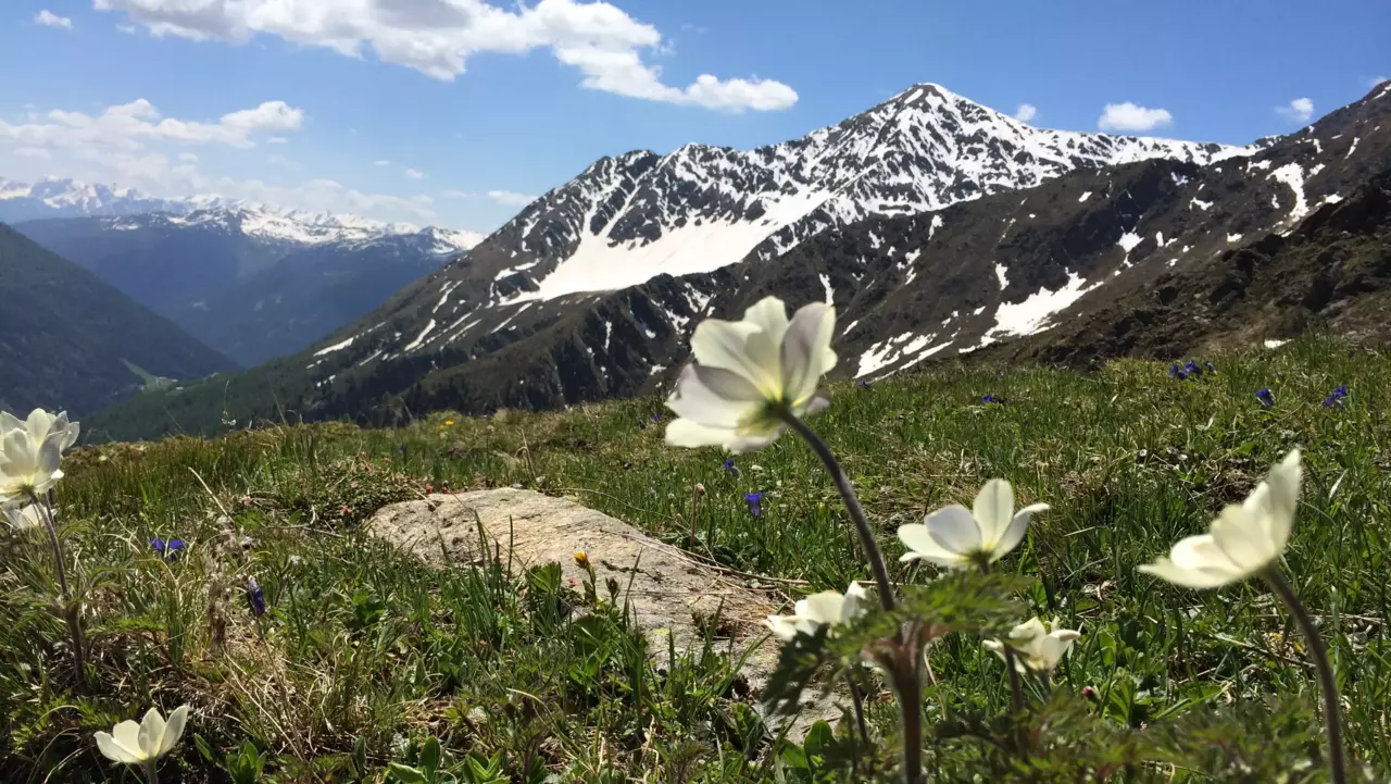 Innervillgraten Nähe Schwarzsee © TVB Osttirol / Carolina Trauner